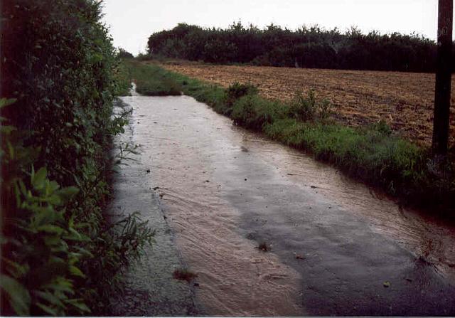 Juli 2002 -  d.jpg - Rhönweg (ehemaliger Salinger Weg) im alten Verlauf - Blickrichtung: Süden